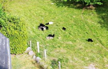 Traumblick und Komfort - lichtdurchflutete 85 qm Wohnung nahe Südstrand Göhren inklusive Schwimmbad und Sauna im AHOI Sellin - Foto 64