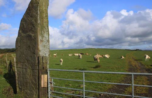 Eluneds Place - Photo 1