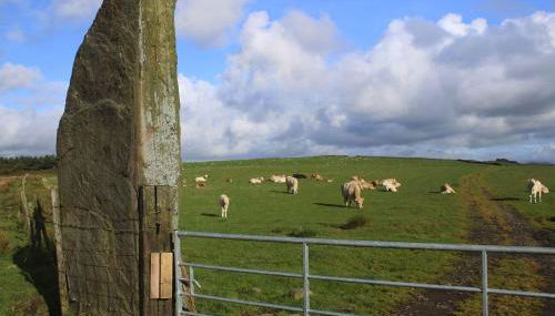 Eluneds Place - Photo 1