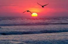 La Conchiglia sul Mare - Foto 52