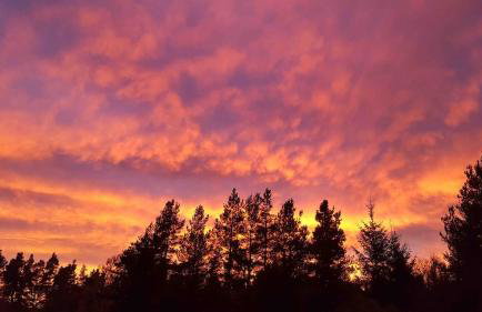 Woodland studio - Foto 12