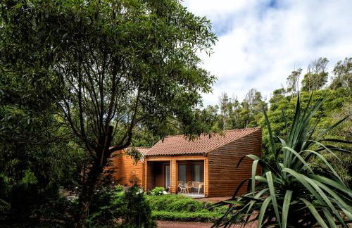 Alma do Pico - Nature Residence - Photo 39