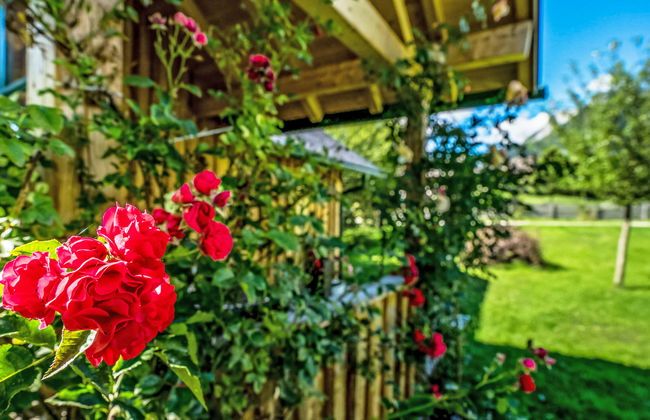 Bad Aussee - Foto 28