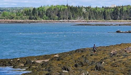 Sunset Cabin by the Sea, Log cabin stunning views - Foto 2