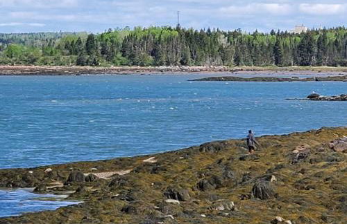 Sunset Cabin by the Sea, Log cabin stunning views - Photo 2