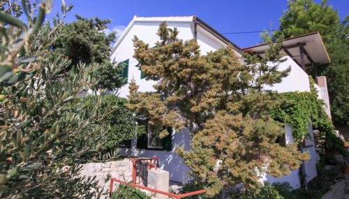 Robinson Stevica - Photo 2, Garden, Other