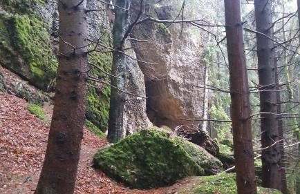 FeWo Alpenfreude mit Hallenbad - Foto 44