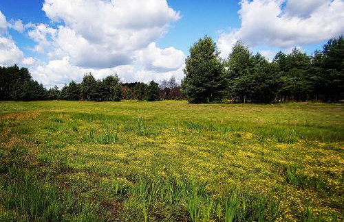Masuria Warsaw Family - dom na wyłączność - w lesie i przy rzece - 15 min od Warszawy - idealny dla rodzin z dziećmi - Foto 50