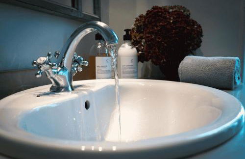 La Chartreuse des Ormeaux maison de maître en Dordogne - Foto 22