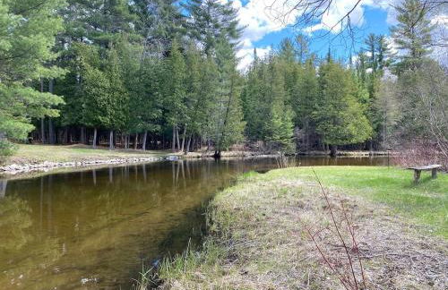 Secluded Au Sable River Home - Foto 38