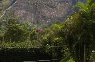 Casa de Araras - Foto 17