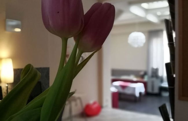 Hotel PurPur - Foto 36