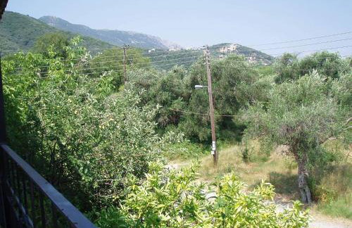 Angelik Ipsos no5 - Photo 16