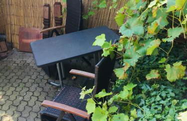 Natur und Neckarblick bei Heidelberg - Photo 25