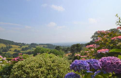 2 Bed in Abergavenny oc-83894 - Foto 29