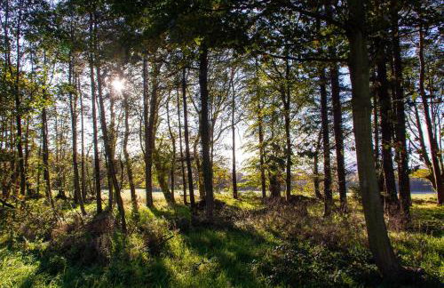 Murmur y Coed - Foto 8