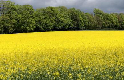 Ferienwohnung am Wald - Foto 58