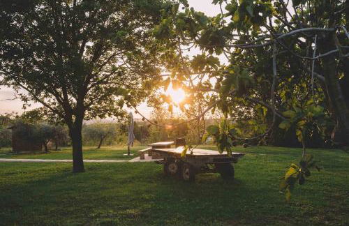 Podere Selvatici - Foto 9