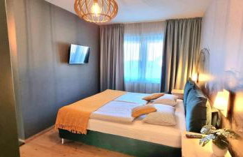 Green Forest - Photo 25