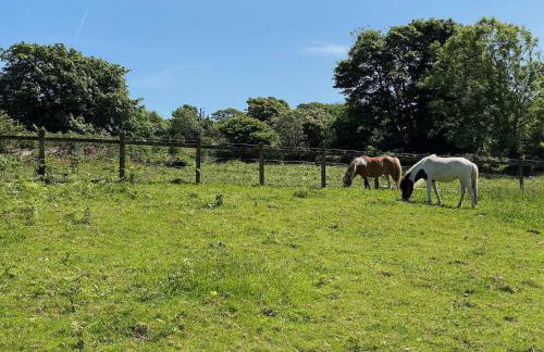 Polly's Barn, Penrhyn - Foto 21