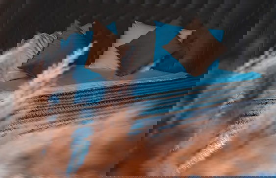 Inn House Ölüdeniz - Foto 11