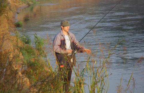 Domek do wynajęcia - Siedlisko przy lesie - Foto 6
