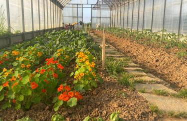 Il Poggio Agrisport - Foto 22