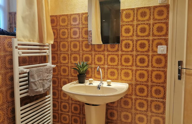 La maison bleue - Foto 23