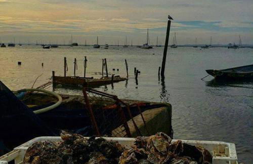 Sunshine Corner - Foto 28