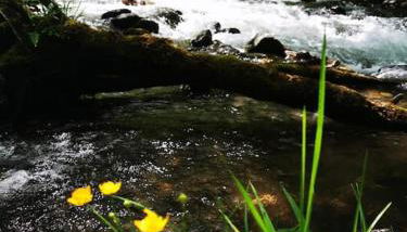 Le Nid de Laly - Foto 2