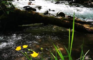 Le Nid de Laly - Foto 2