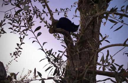 Agriturismo L'isola - Foto 61