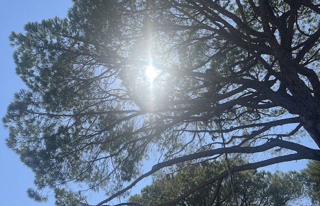 Les Mini-villas de Santa-giulia - Foto 36