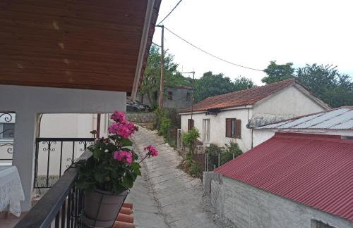 Μυρτώ - Photo 20