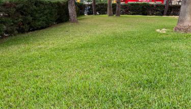 Apartamento Portisol - Foto 3, Garden