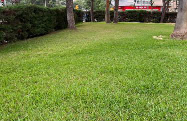 Apartamento Portisol - Foto 3