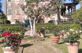 Villa di Papiano - Foto 54