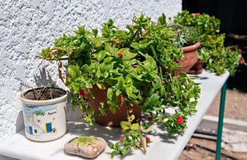 Studio With sea View, Creta, Ierapetra - Foto 133