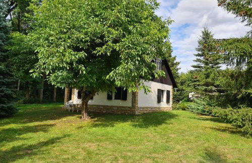 Domek w Lesie Bory Tucholskie - Foto 1