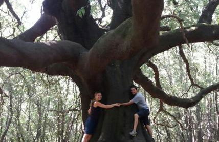 Al Palazzetto di Milo - Foto 38