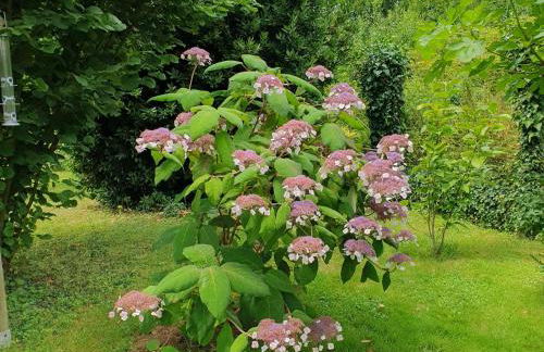 Charmante maison avec jardin au cœur du Parc Naturel Régional de la Brenne, idéale pour télétravail. - FR-1-591-237 - Foto 9