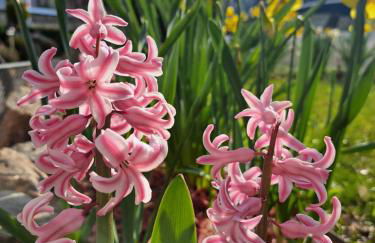 Space Hotel im Campus der JvP Schule - Foto 71