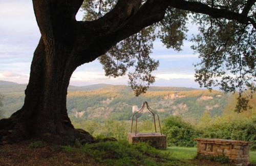 Tenuta di Spannocchia - Foto 38