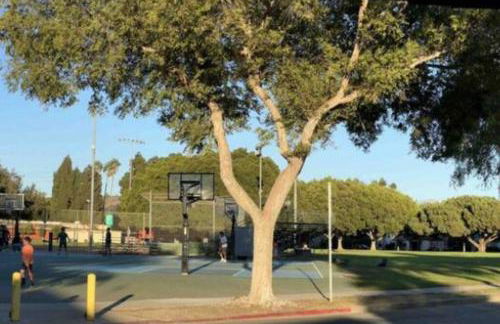 Adorable 2BR-2BA House with EV & Free Parking and Family Friendly in Los Angeles - Photo 71