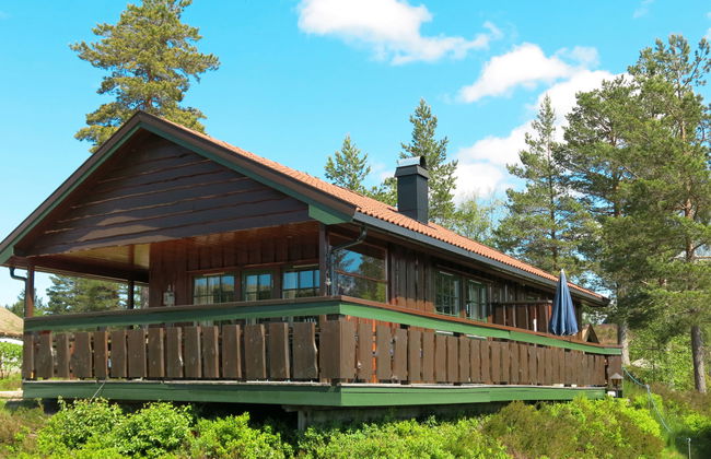 Skafjellstoga - Foto 17