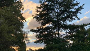 Ferienwohnung am Waldrand mit großem Garten - Foto 2, Garden