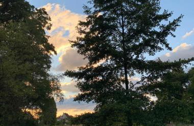 Ferienwohnung am Waldrand mit großem Garten - Foto 2