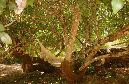 Otium Country House - Foto 82