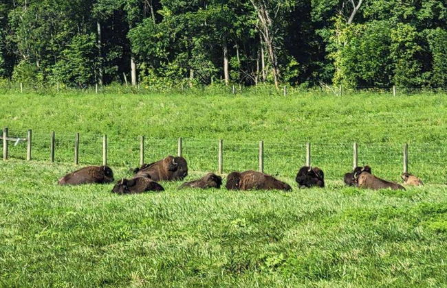 The Gem Vacation Rental - Foto 35