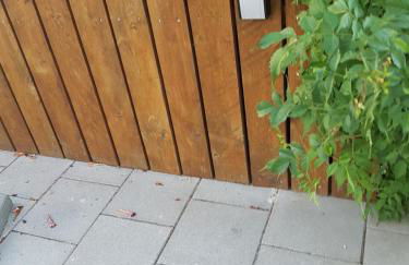 Ferienwohnung Fam. Schade - Foto 13